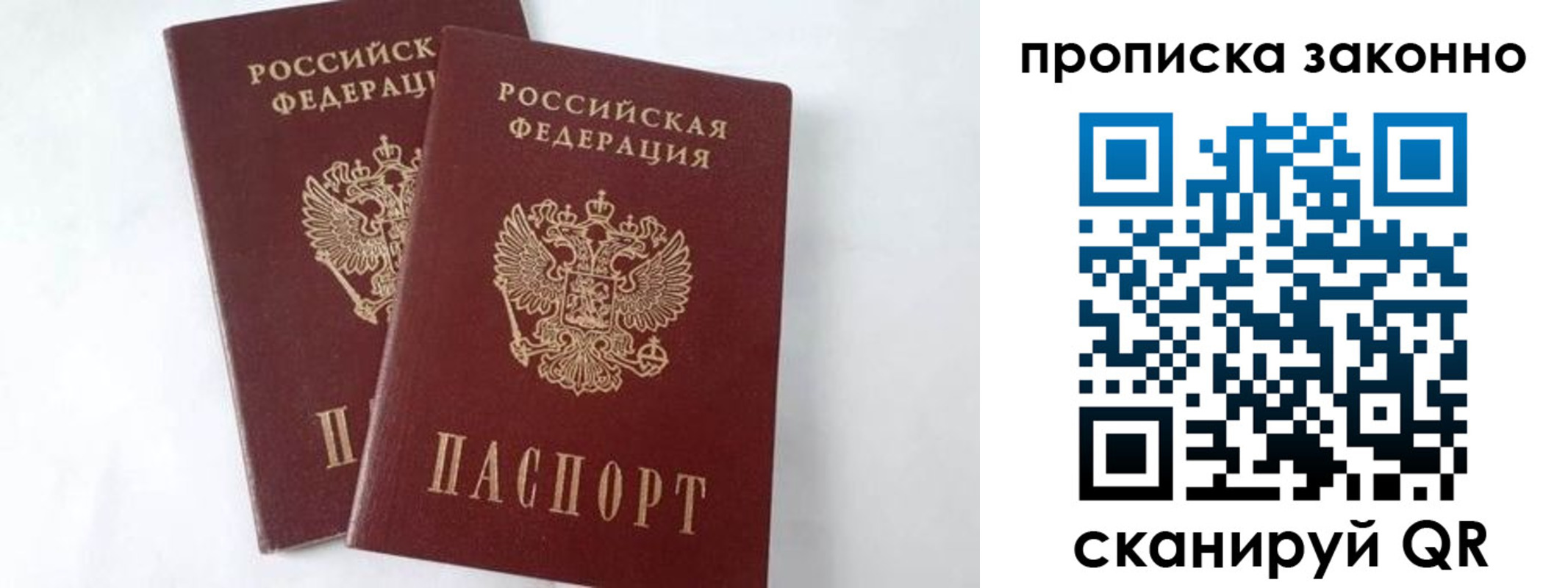 прописка в Жердевке